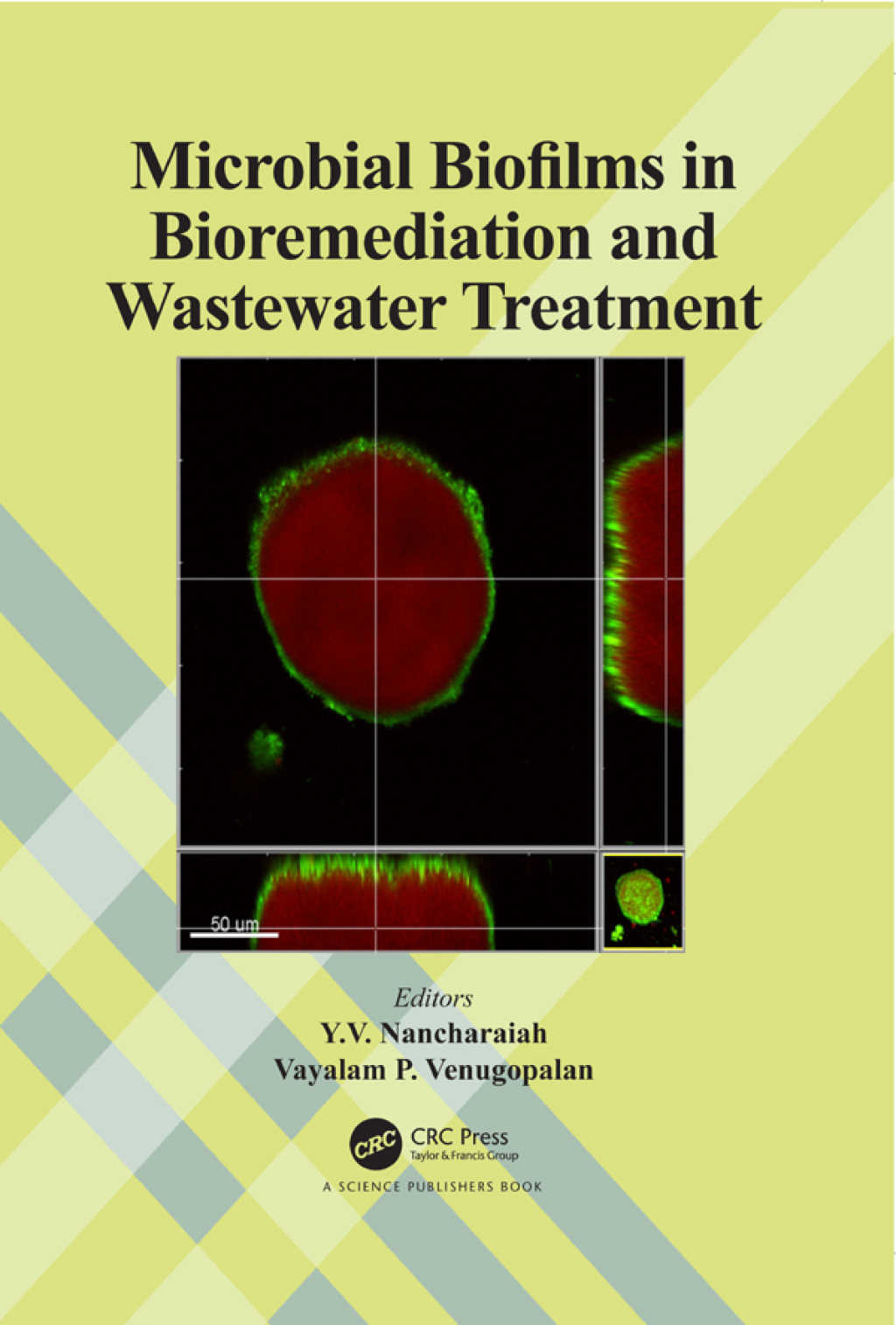 Microbial Biofilms in Bioremediation and Wastewater Treatment 1st Edition â€“ PDF/EPUB Version Downloadable