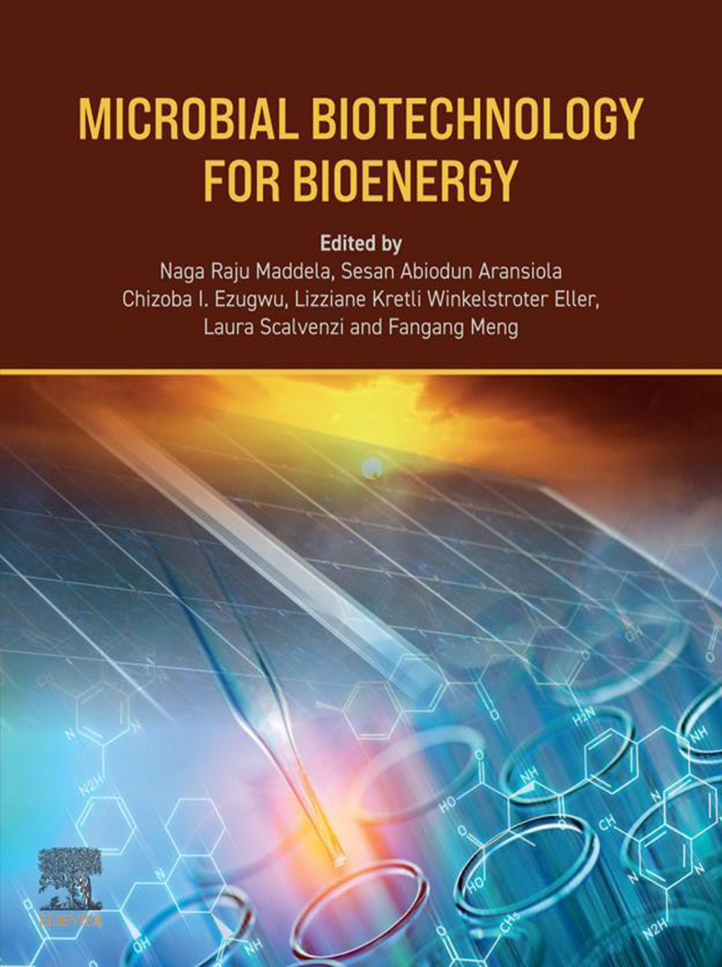 Microbial Biotechnology for Bioenergy 1st Edition â€“ PDF/EPUB Version Downloadable