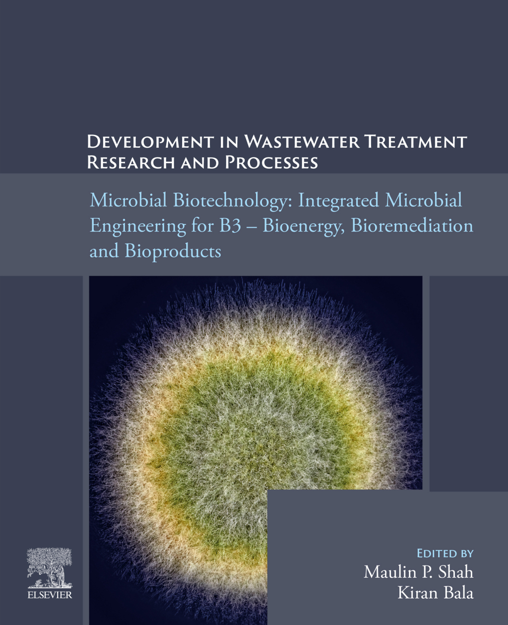 Microbial Biotechnology: Integrated Microbial Engineering for B3 â€“ Bioenergy, Bioremediation, and Bioproducts  â€“ PDF/EPUB Version Downloadable