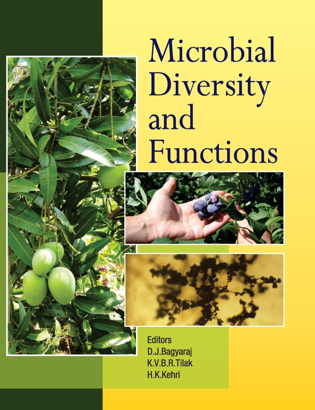 Microbial Diversity and Functions  â€“ PDF/EPUB Version Downloadable