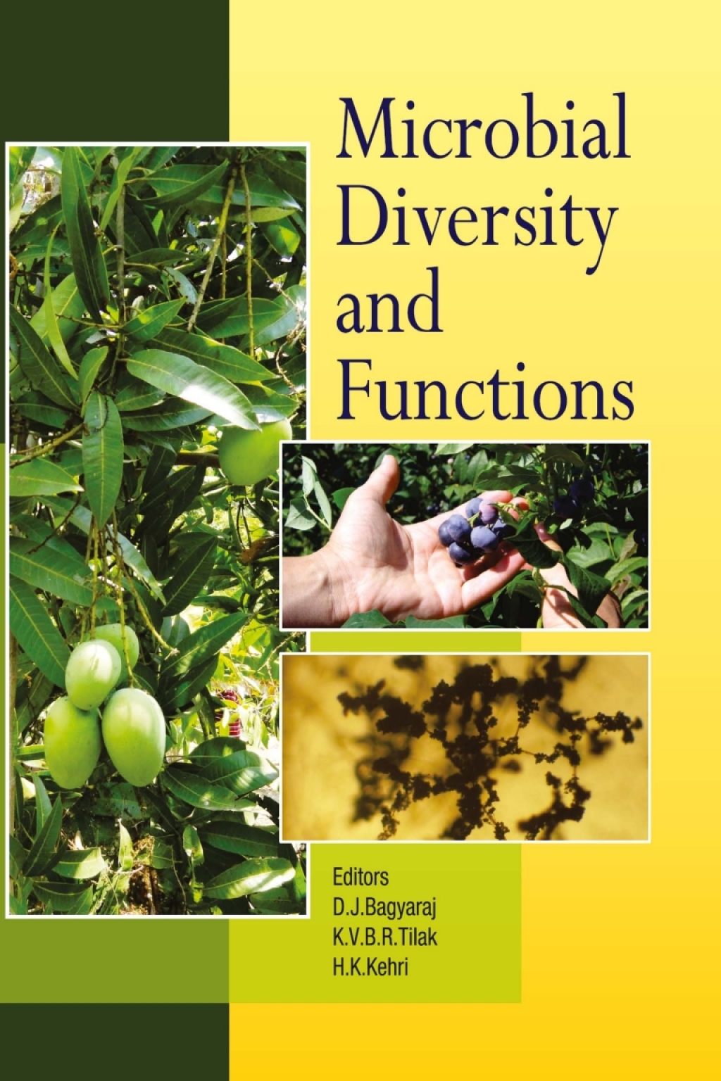 Microbial Diversity and Functions 1st Edition â€“ PDF/EPUB Version Downloadable