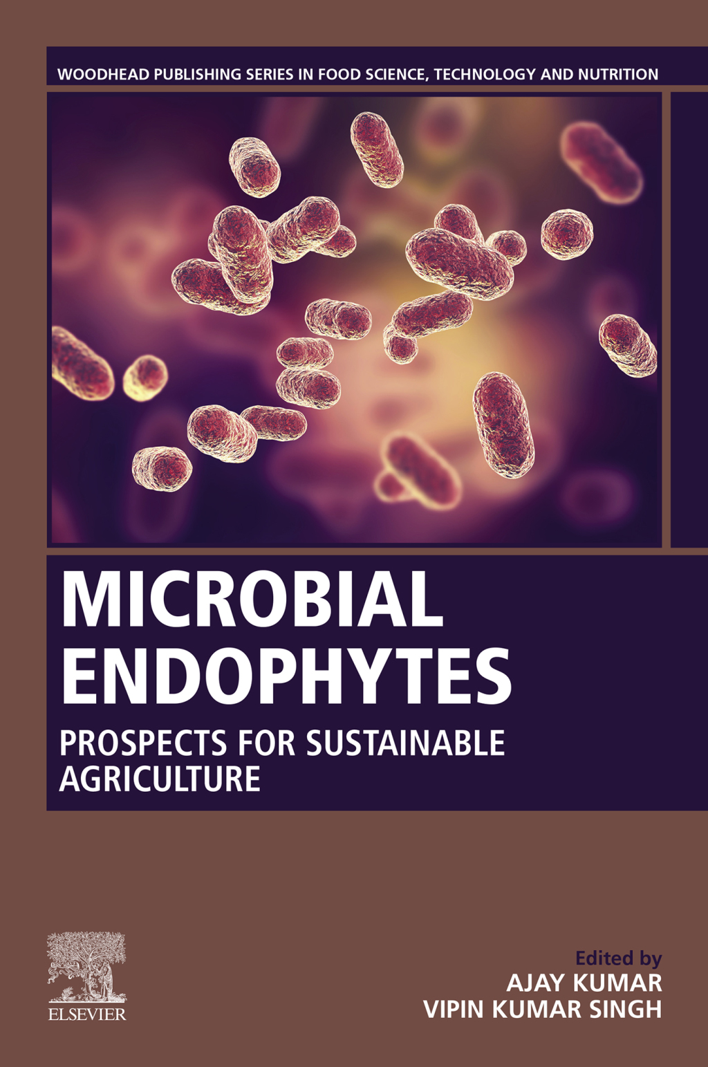 Microbial Endophytes Prospects for Sustainable Agriculture  â€“ PDF/EPUB Version Downloadable