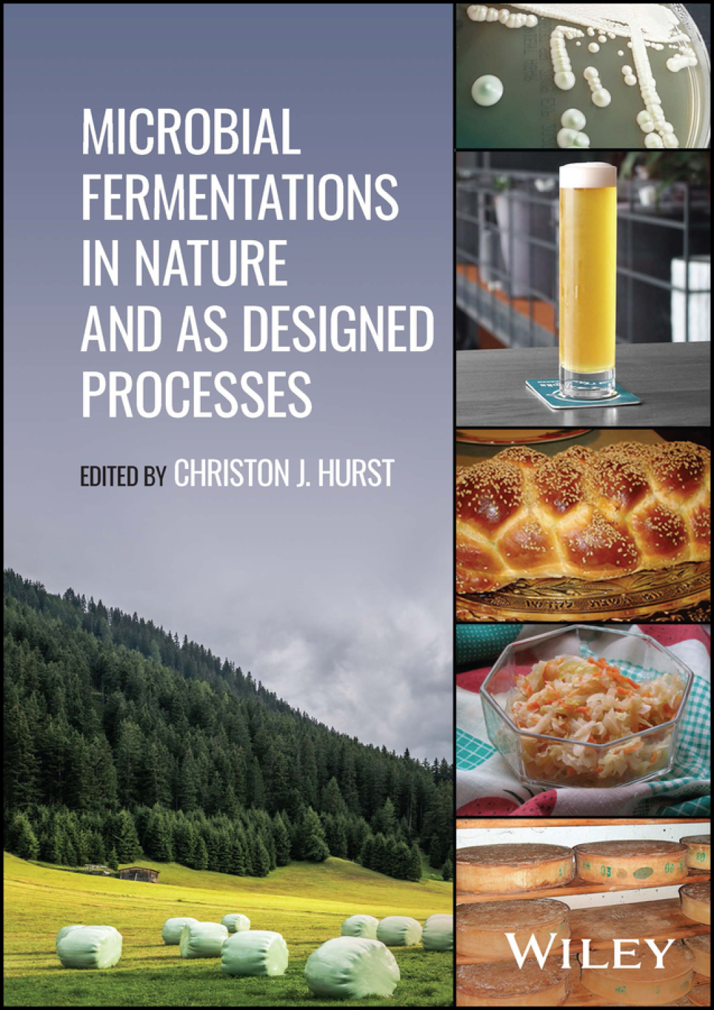 Microbial Fermentations in Nature and as Designed Processes 1st Edition â€“ PDF/EPUB Version Downloadable