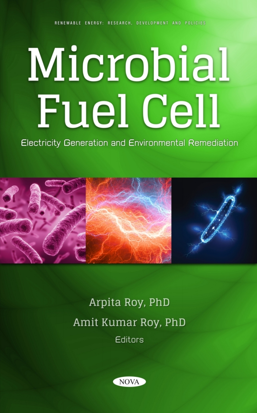 Microbial Fuel Cell: Electricity Generation and Environmental Remediation  â€“ PDF/EPUB Version Downloadable