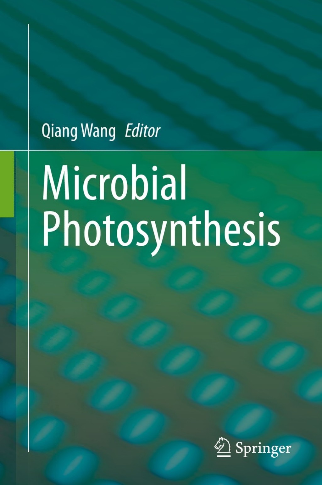 Microbial Photosynthesis 1st Edition â€“ PDF/EPUB Version Downloadable