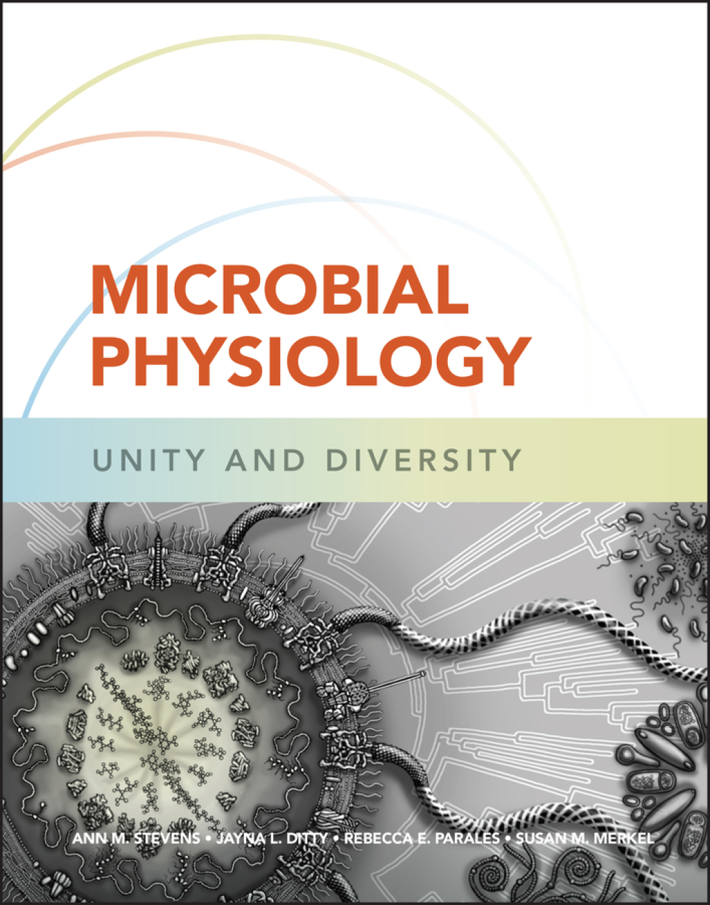 Microbial Physiology Unity and Diversity 1st Edition â€“ PDF/EPUB Version Downloadable
