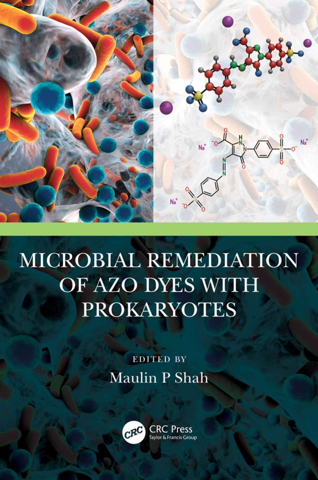 Microbial Remediation of Azo Dyes with Prokaryotes 1st Edition â€“ PDF/EPUB Version Downloadable
