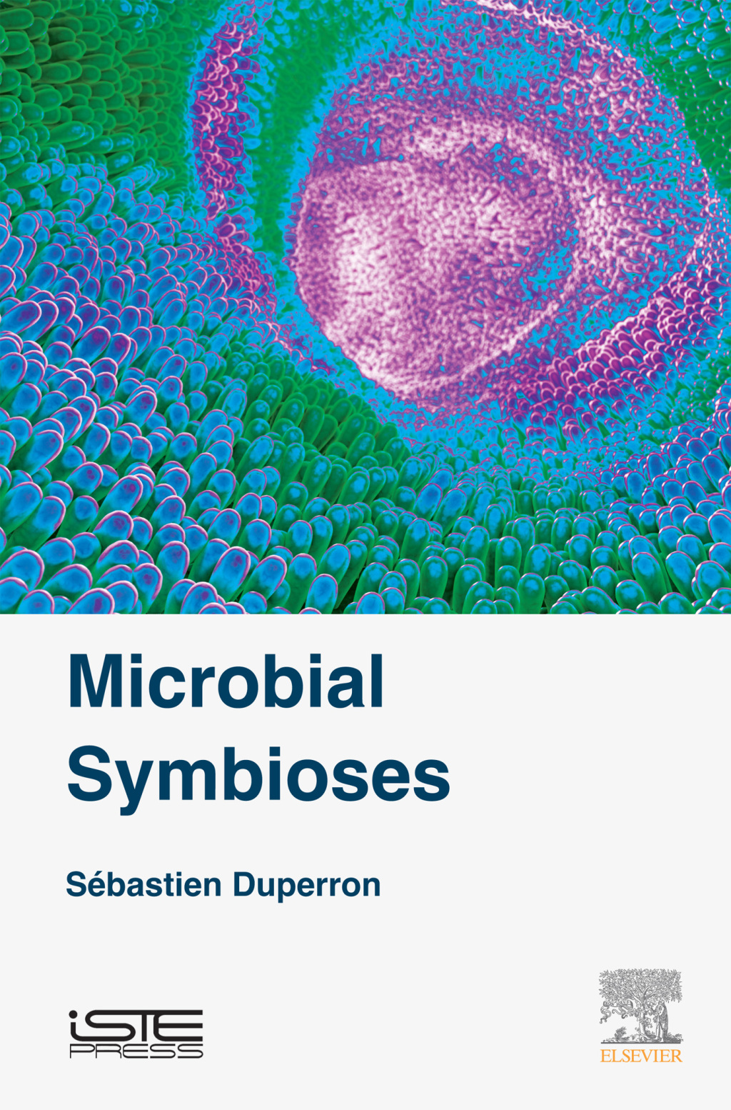 Microbial Symbioses  â€“ PDF/EPUB Version Downloadable