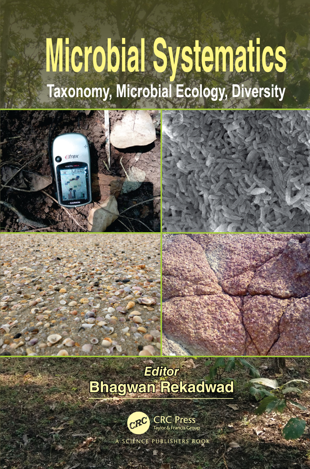 Microbial Systematics Taxonomy, Microbial Ecology, Diversity 1st Edition â€“ PDF/EPUB Version Downloadable