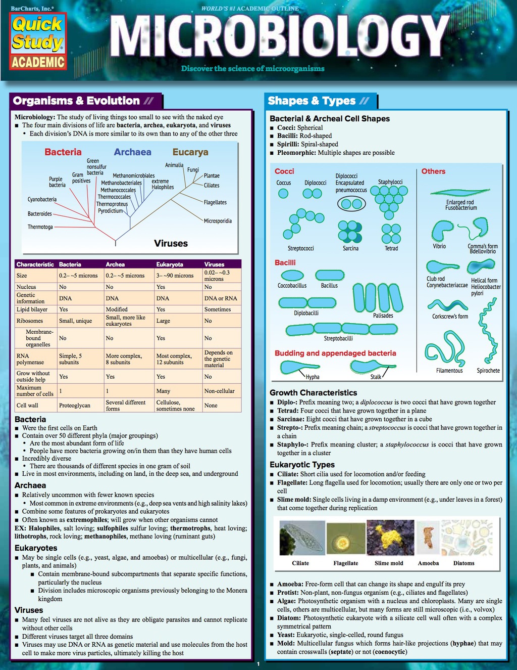 Microbiology - (PDF/EPUB Version)
