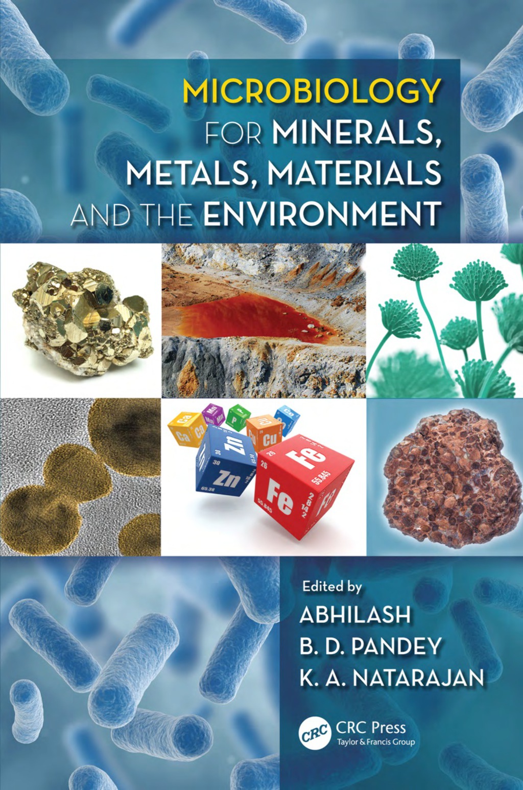 Microbiology for Minerals, Metals, Materials and the Environment 1st Edition â€“ PDF/EPUB Version Downloadable