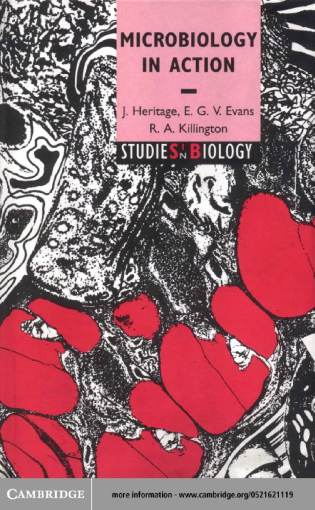 Microbiology in Action 1st Edition â€“ PDF/EPUB Version Downloadable