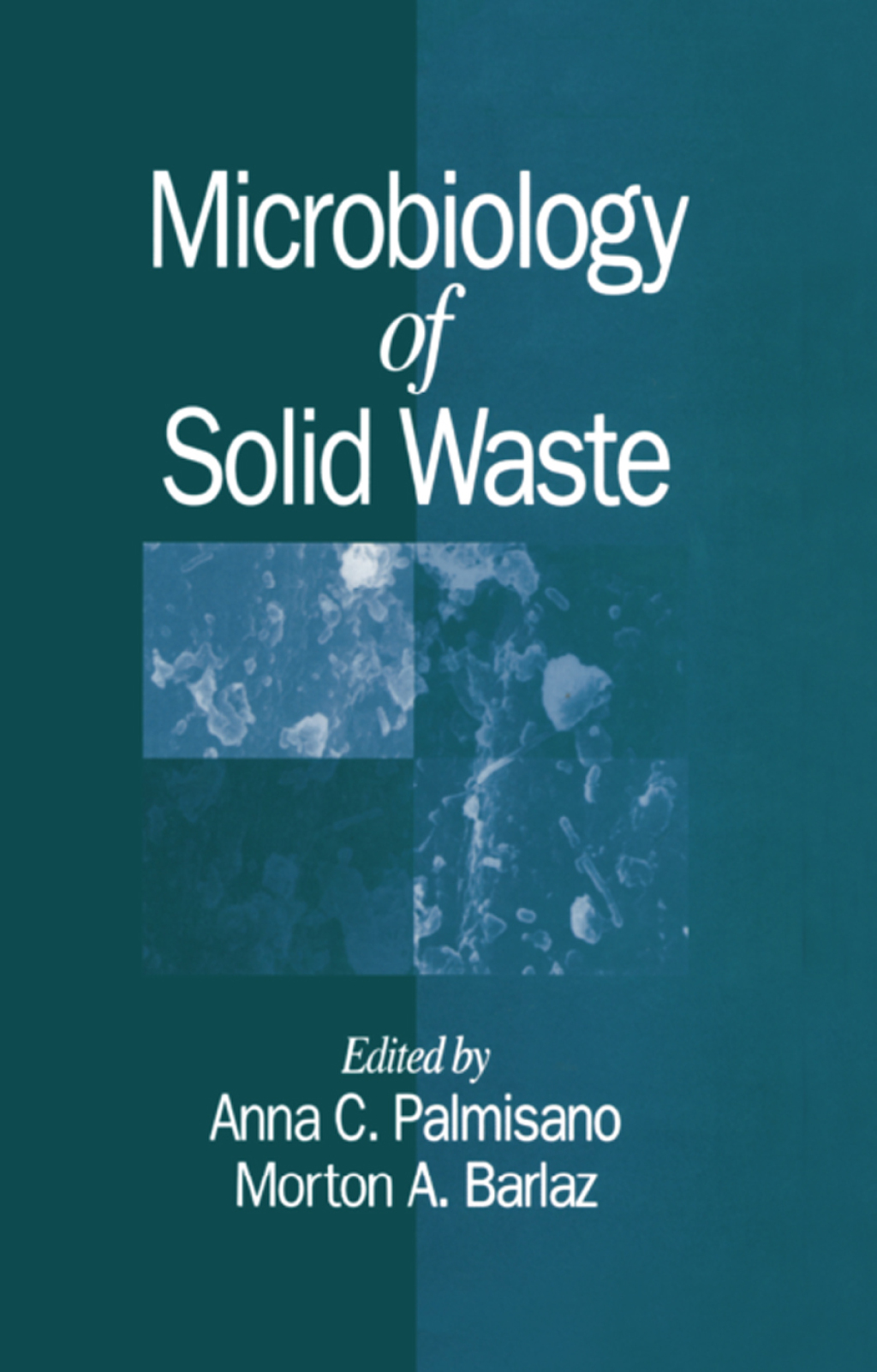 Microbiology of Solid Waste 1st Edition â€“ PDF/EPUB Version Downloadable