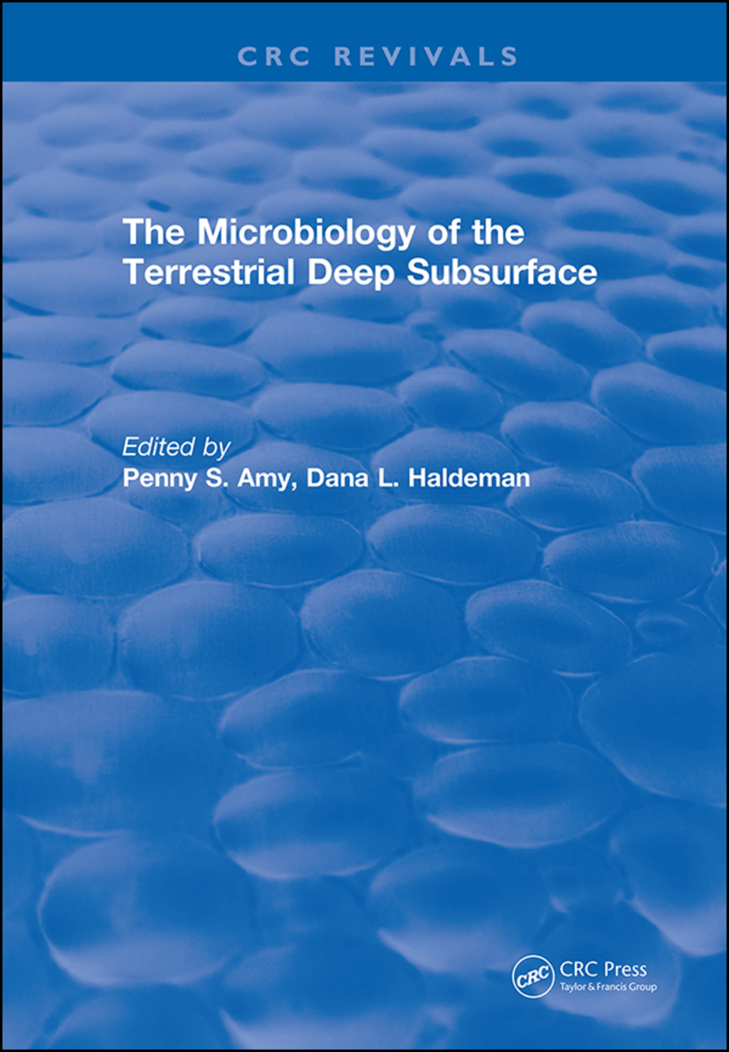 Microbiology of the Terrestrial Deep Subsurface 1st Edition â€“ PDF/EPUB Version Downloadable