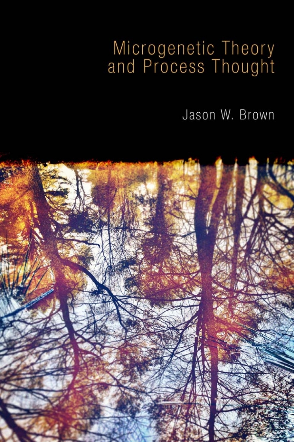 Microgenetic Theory and Process Thought 1st Edition â€“ PDF/EPUB Version Downloadable
