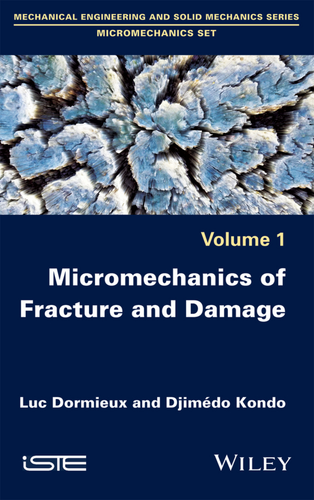 Micromechanics of Fracture and Damage 1st Edition â€“ PDF/EPUB Version Downloadable