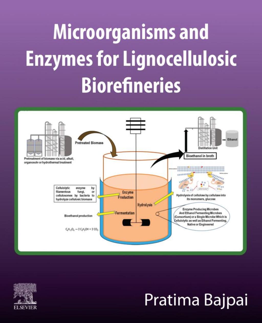 Microorganisms and enzymes for lignocellulosic biorefineries 1st Edition â€“ PDF/EPUB Version Downloadable