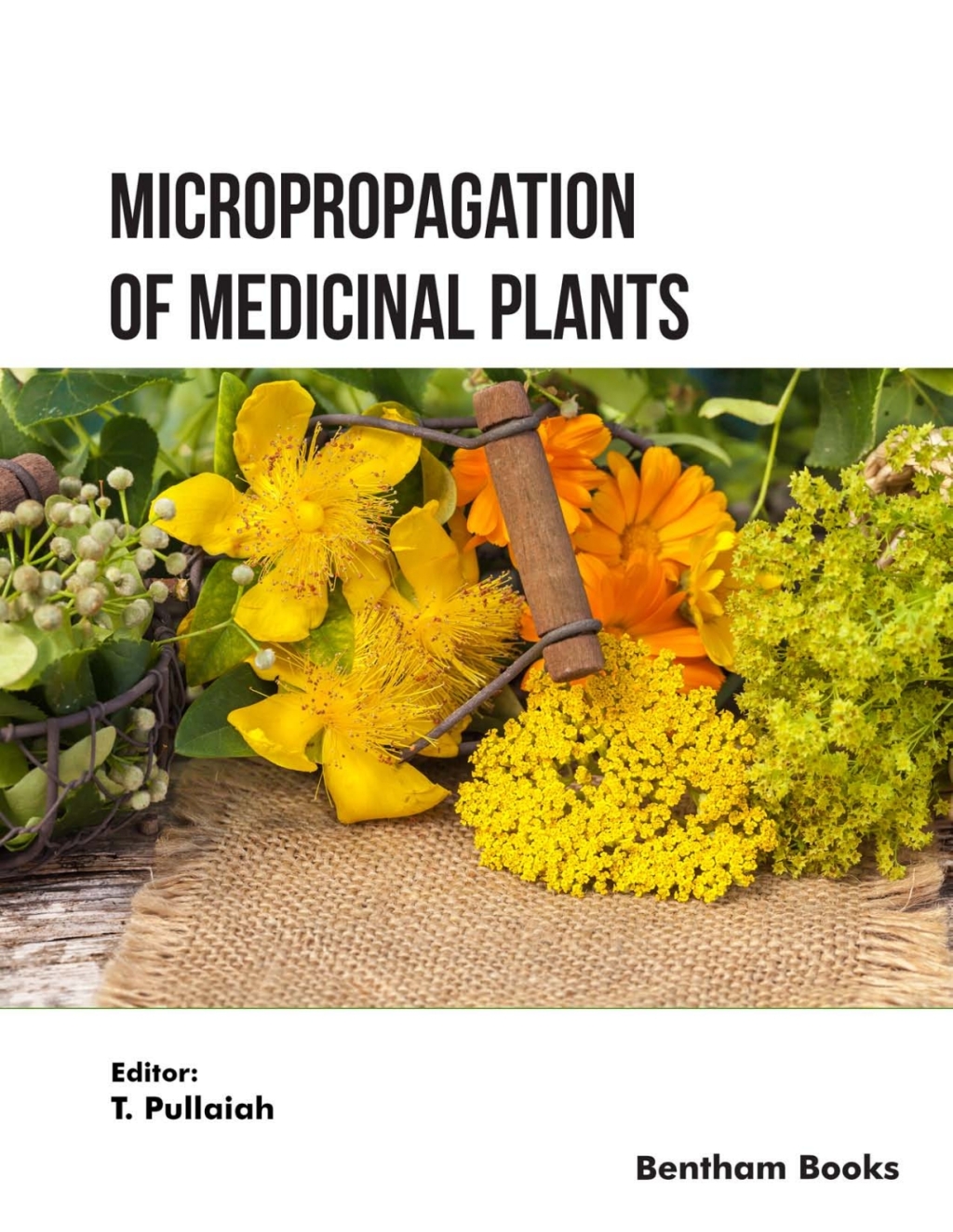 Micropropagation of Medicinal Plants: Volume 1 1st Edition â€“ PDF/EPUB Version Downloadable
