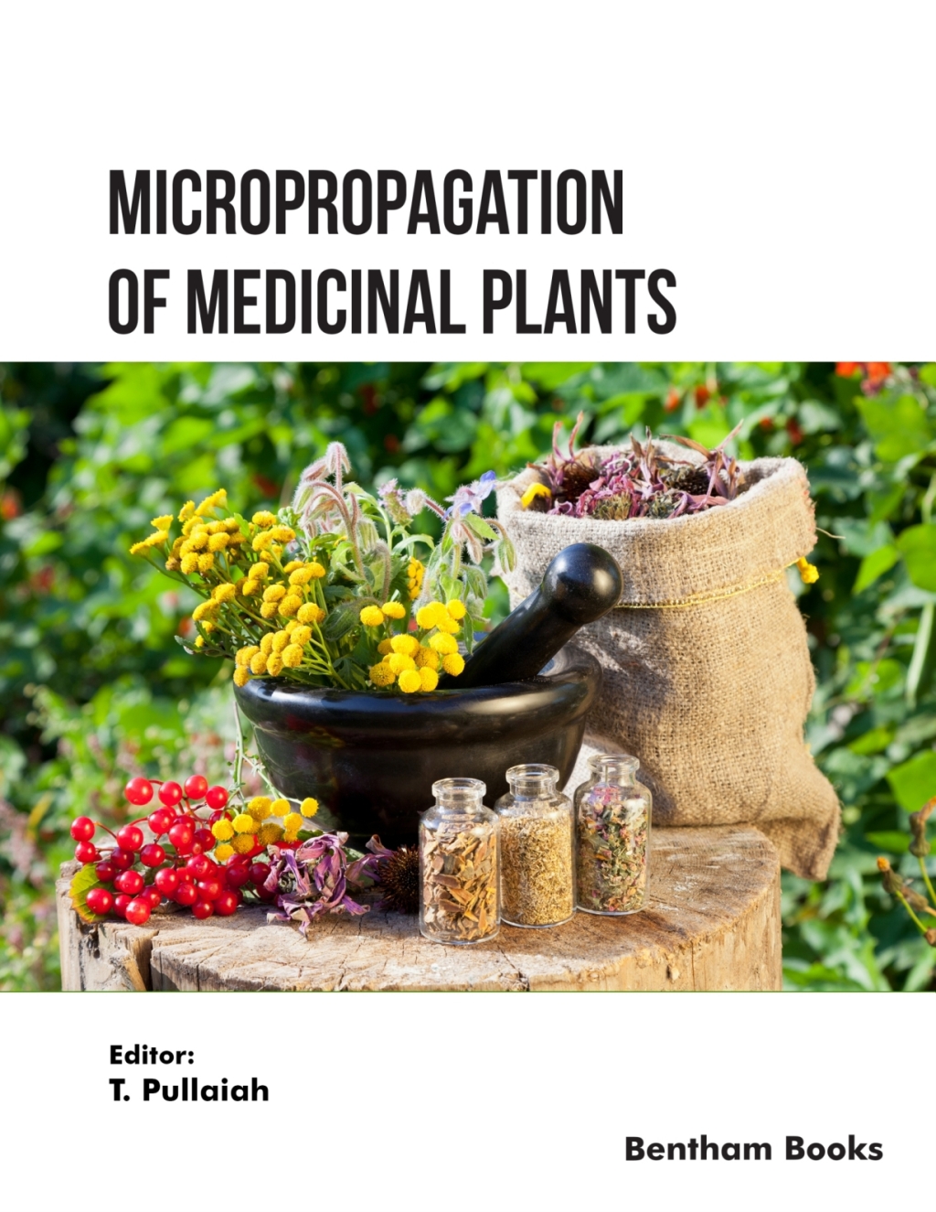 Micropropagation of Medicinal Plants: Volume 2 1st Edition â€“ PDF/EPUB Version Downloadable