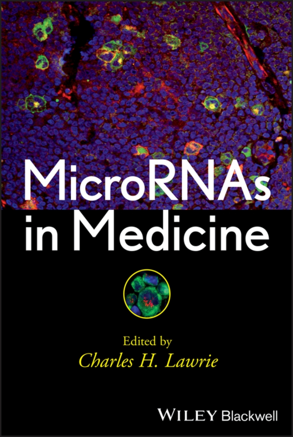 MicroRNAs in Medicine 1st Edition â€“ PDF/EPUB Version Downloadable
