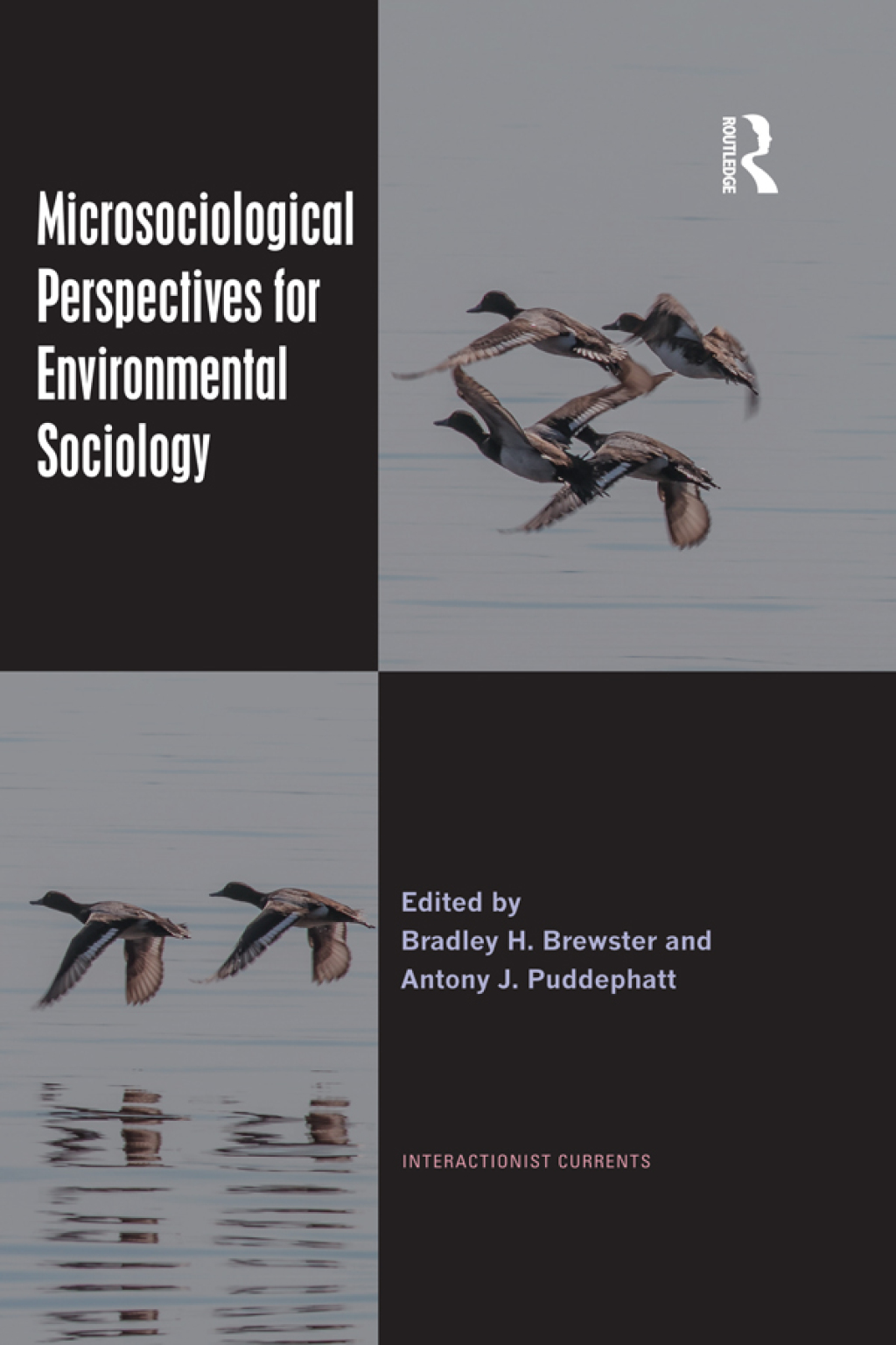 Microsociological Perspectives for Environmental Sociology 1st Edition â€“ PDF/EPUB Version Downloadable
