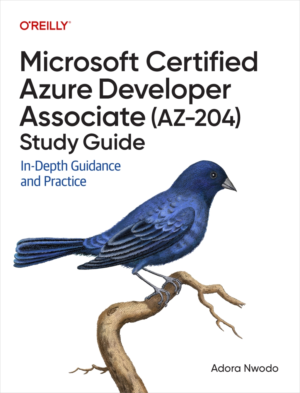 Microsoft Certified Azure Developer Associate (AZ-204) Study Guide In-Depth Guidance and Practice 1st Edition â€“ PDF/EPUB Version Downloadable