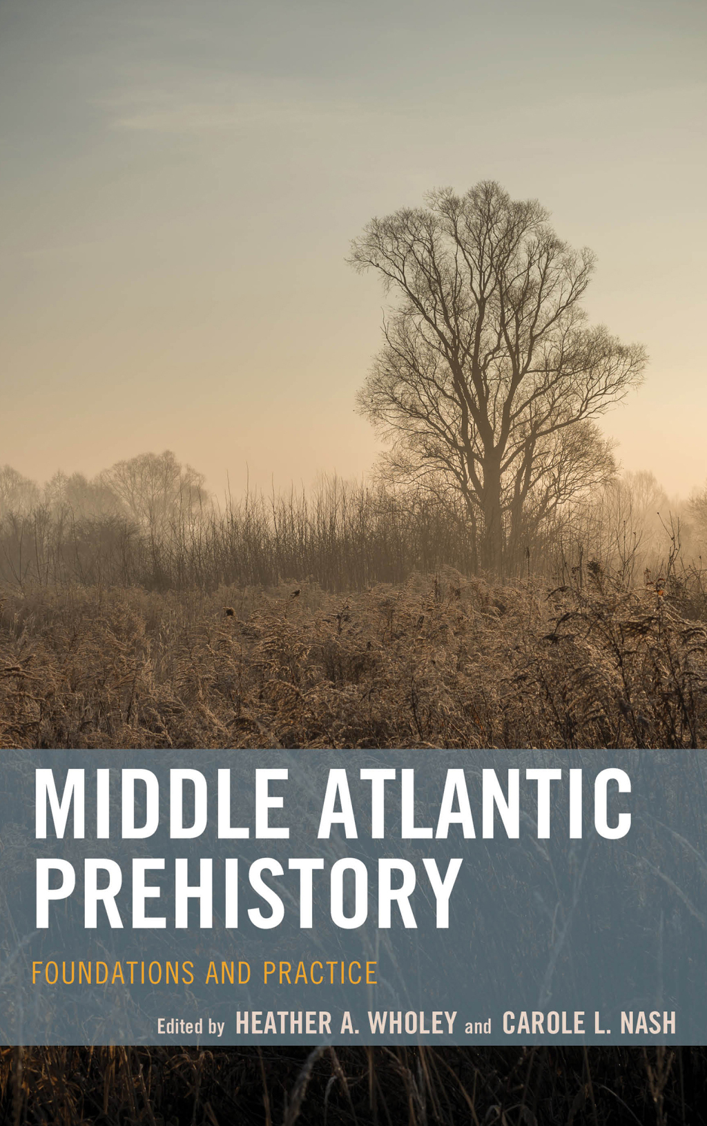 Middle Atlantic Prehistory Foundations and Practice 1st Edition â€“ PDF/EPUB Version Downloadable