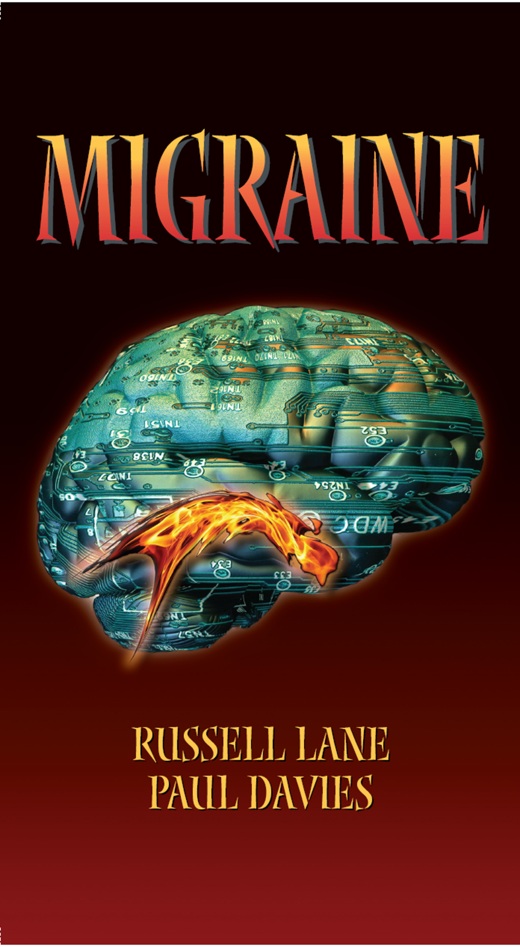 Migraine 1st Edition â€“ PDF/EPUB Version Downloadable