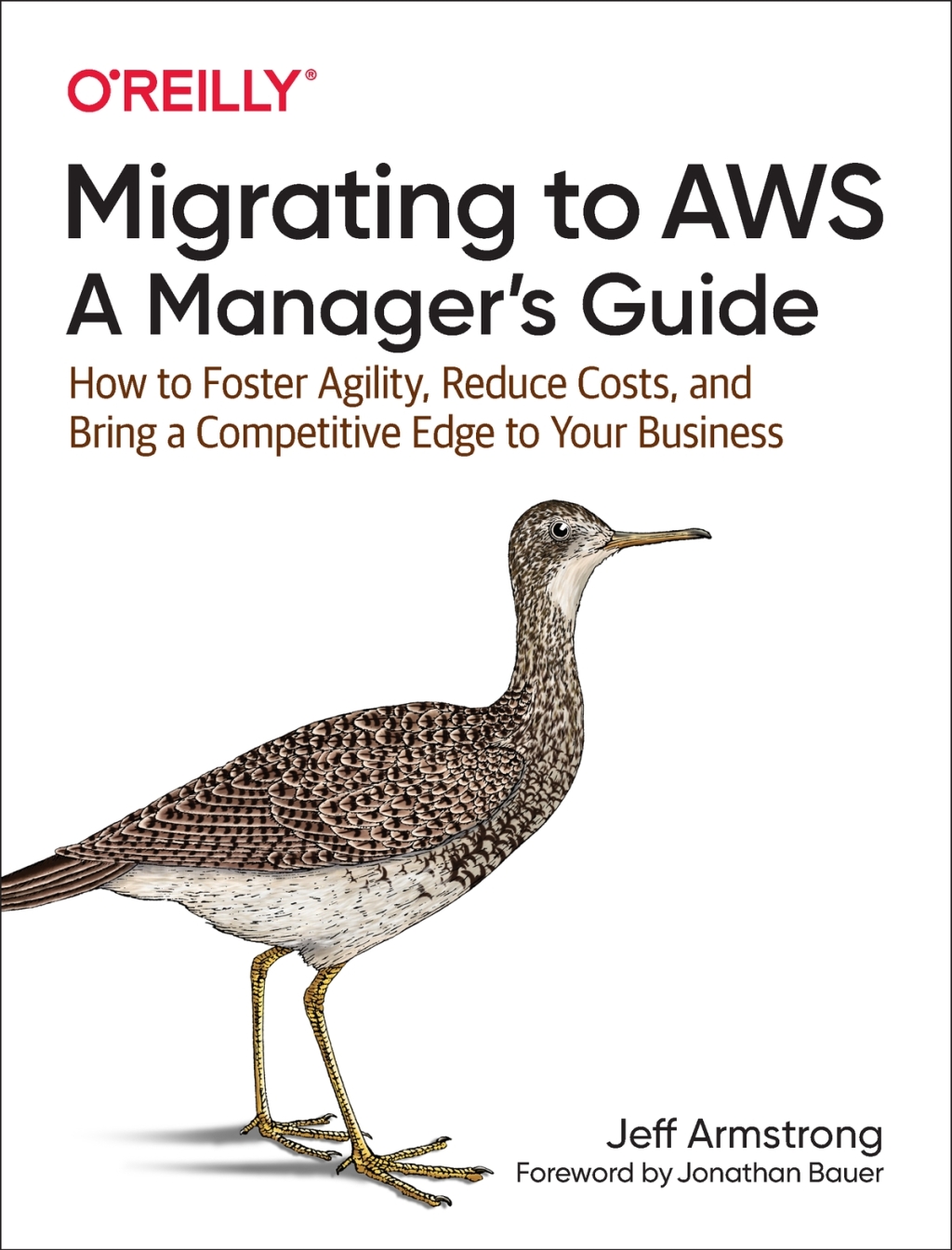 Migrating to AWS: A Manager's Guide How to Foster Agility, Reduce Costs, and Bring a Competitive Edge to Your Business 1st Edition â€“ PDF/EPUB Version Downloadable