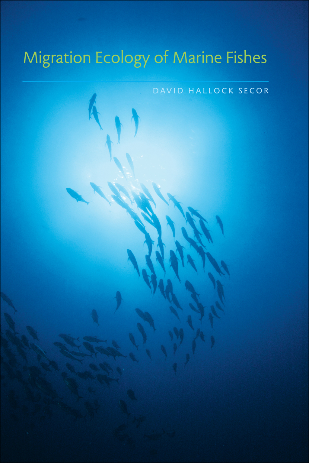 Migration Ecology of Marine Fishes  â€“ PDF/EPUB Version Downloadable