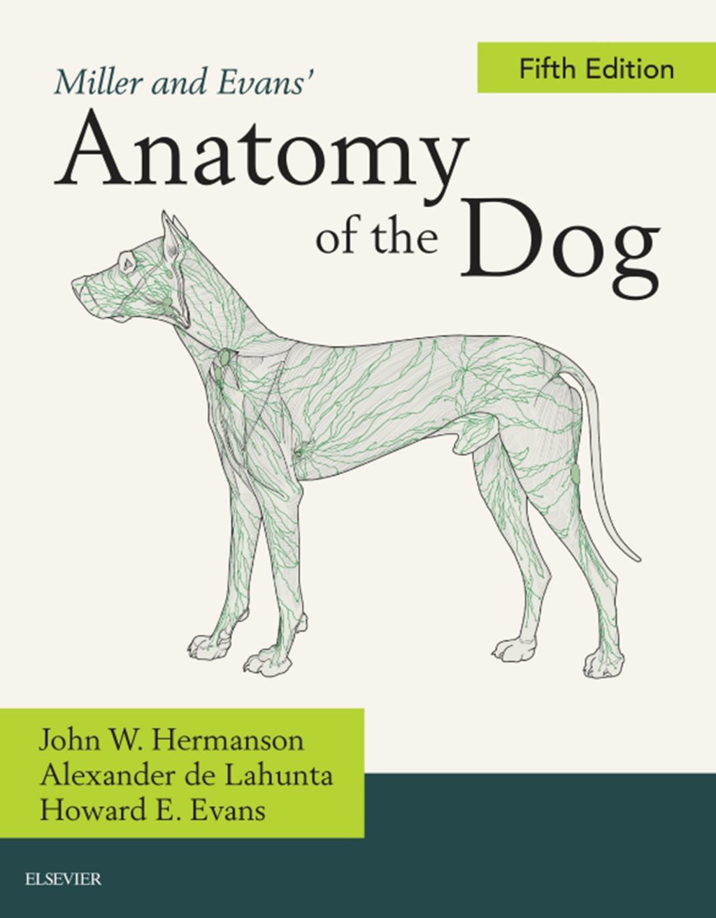 Miller and Evans' Anatomy of the Dog 5th Edition â€“ PDF/EPUB Version Downloadable