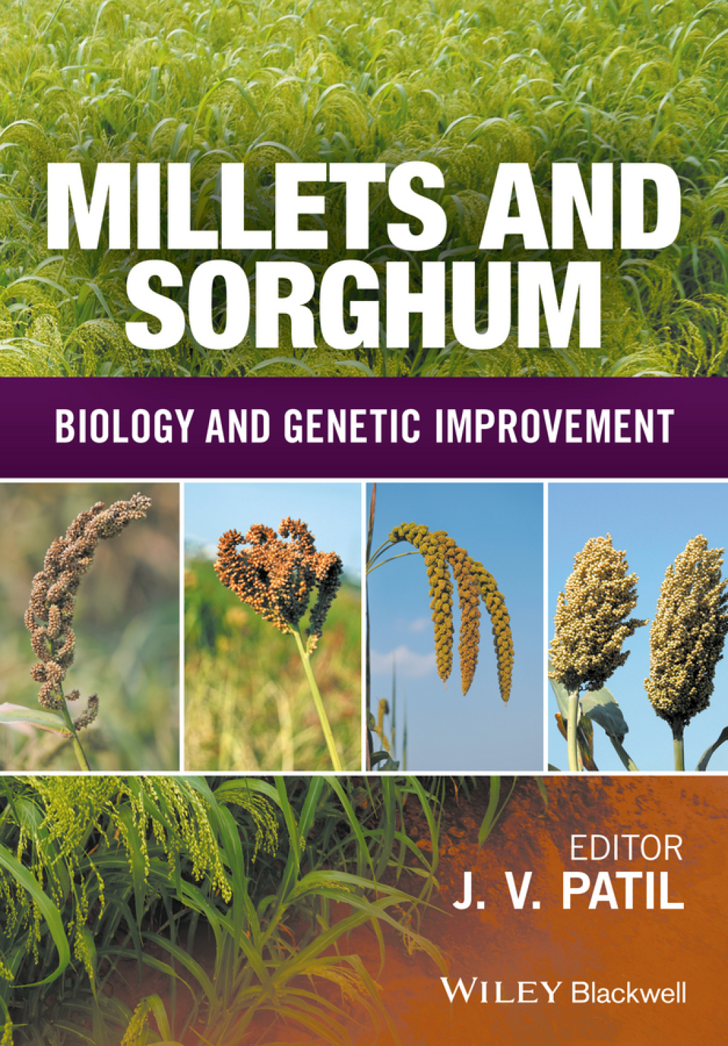 Millets and Sorghum Biology and Genetic Improvement 1st Edition â€“ PDF/EPUB Version Downloadable