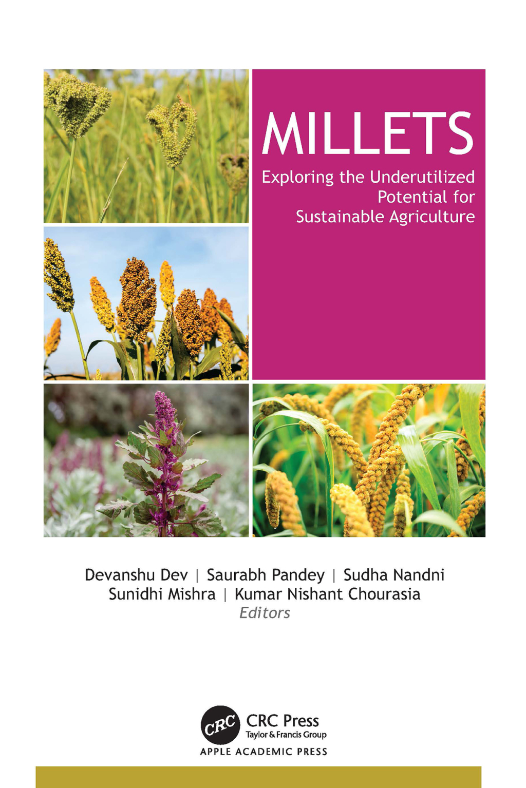Millets Exploring the Underutilized Potential for Sustainable Agriculture 1st Edition â€“ PDF/EPUB Version Downloadable