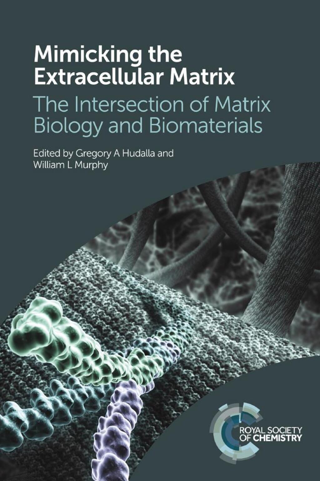 Mimicking the Extracellular Matrix The Intersection of Matrix Biology and Biomaterials 1st Edition â€“ PDF/EPUB Version Downloadable