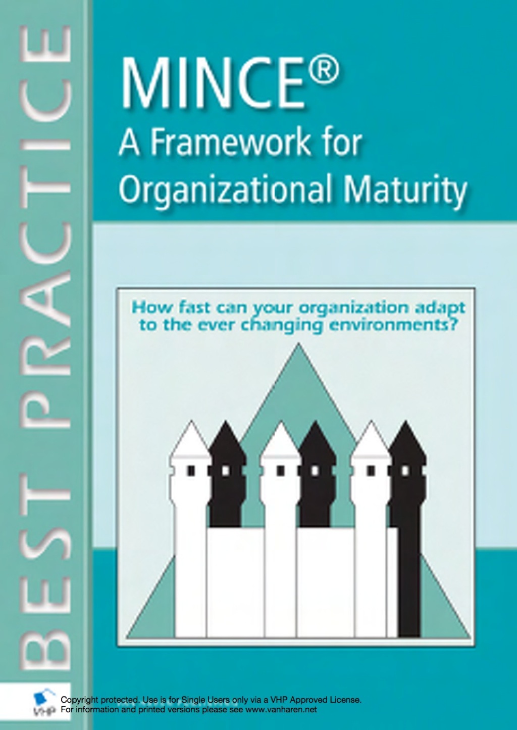 MINCEÂ® - A Framework for Organizational Maturity  â€“ PDF/EPUB Version Downloadable