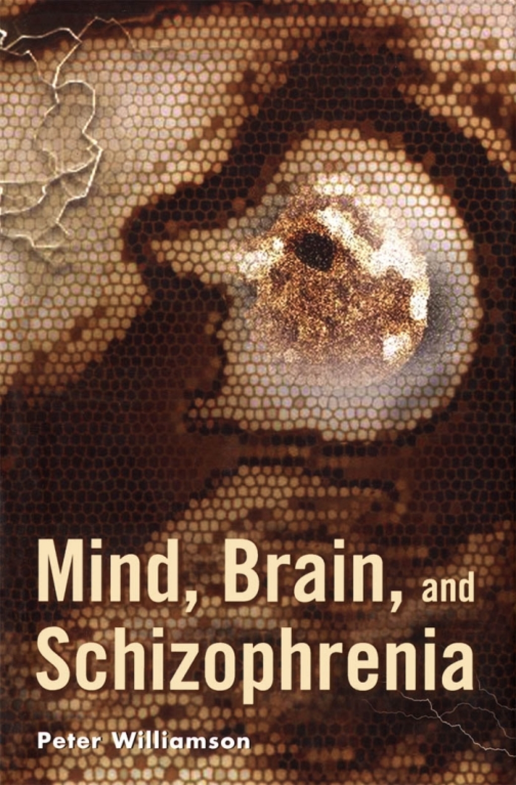 Mind, Brain, and Schizophrenia  â€“ PDF/EPUB Version Downloadable