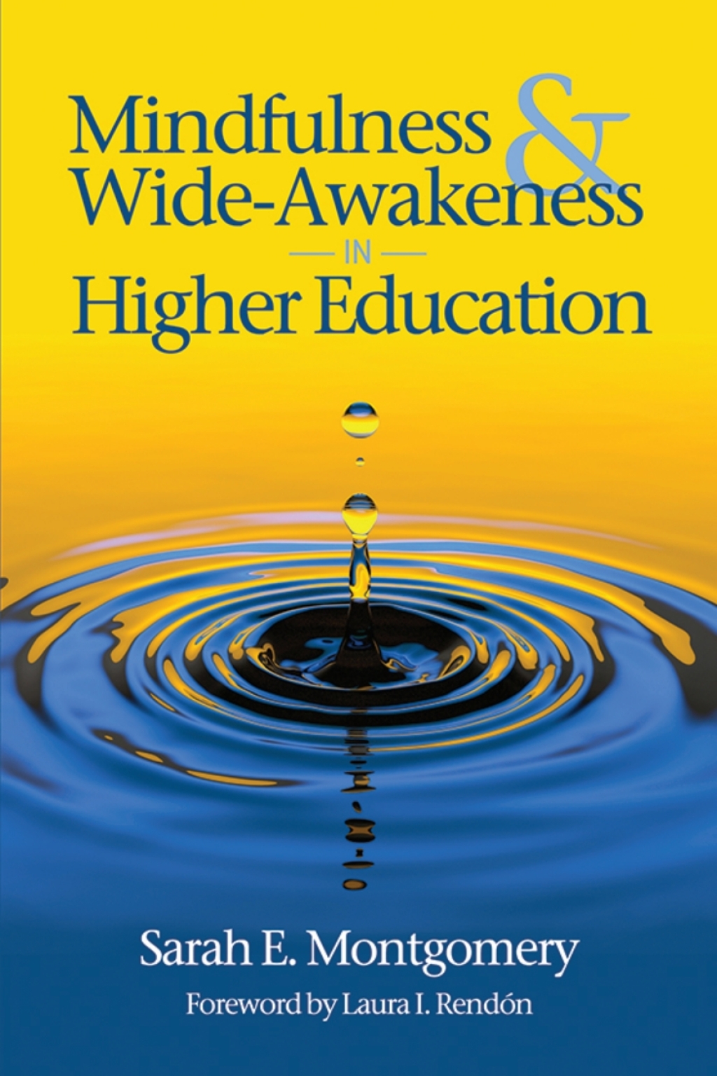 Mindfulness & Wide-Awakeness in Higher Education  â€“ PDF/EPUB Version Downloadable