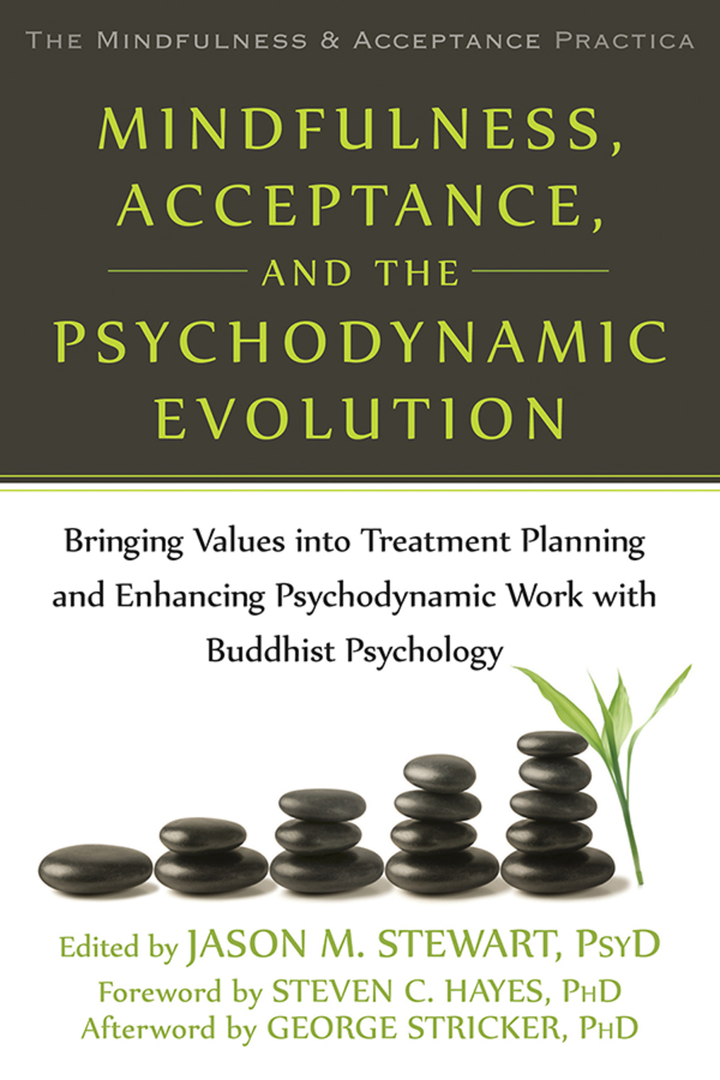 Mindfulness, Acceptance, and the Psychodynamic Evolution Bringing Values into Treatment Planning and Enhancing Psychodynamic Work with Buddhist Psychology  â€“ PDF/EPUB Version Downloadable