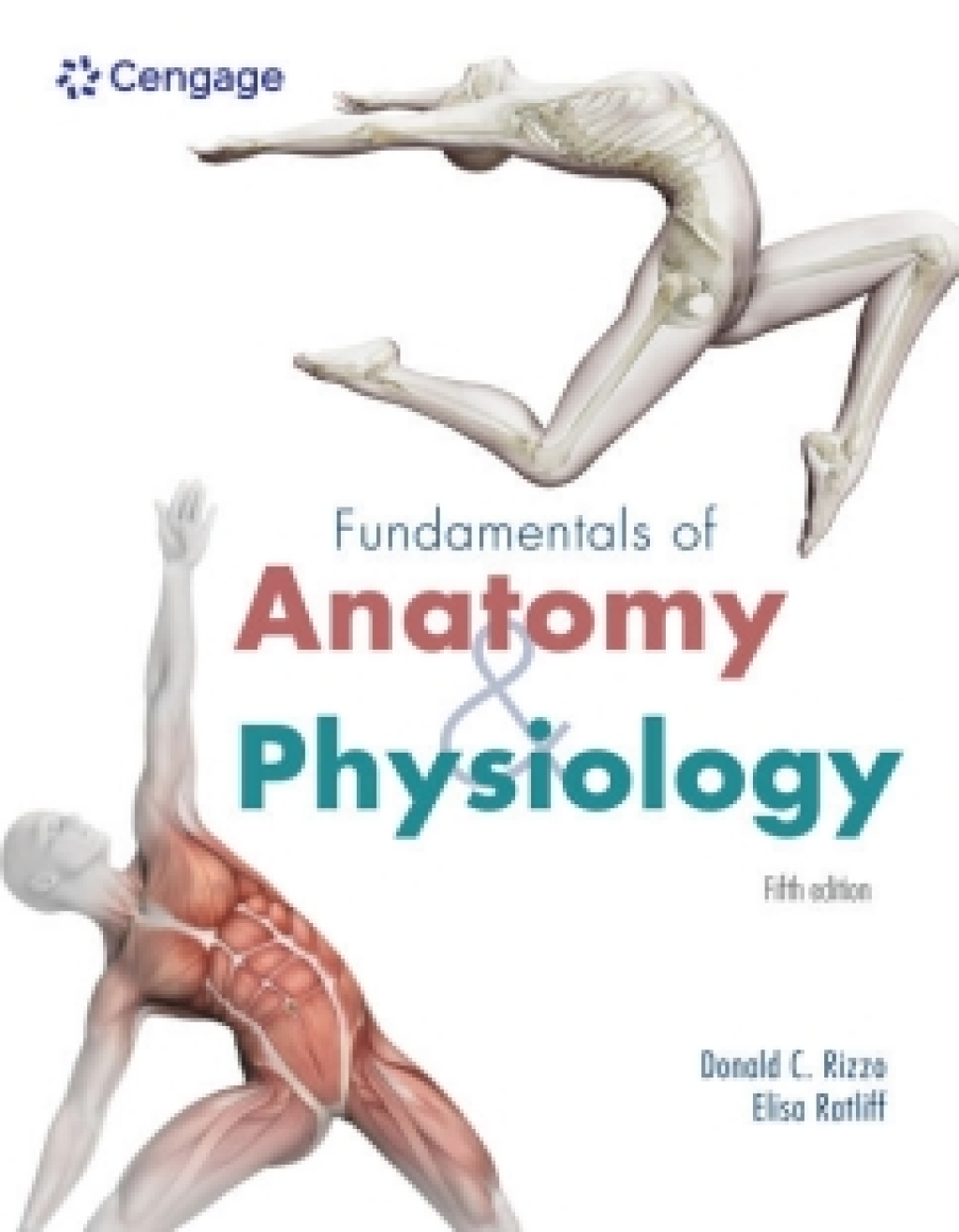MindTap for Rizzo/Ratliff's Fundamentals of Anatomy and Physiology, 2 terms Instant Access 5th Edition â€“ PDF/EPUB Version Downloadable