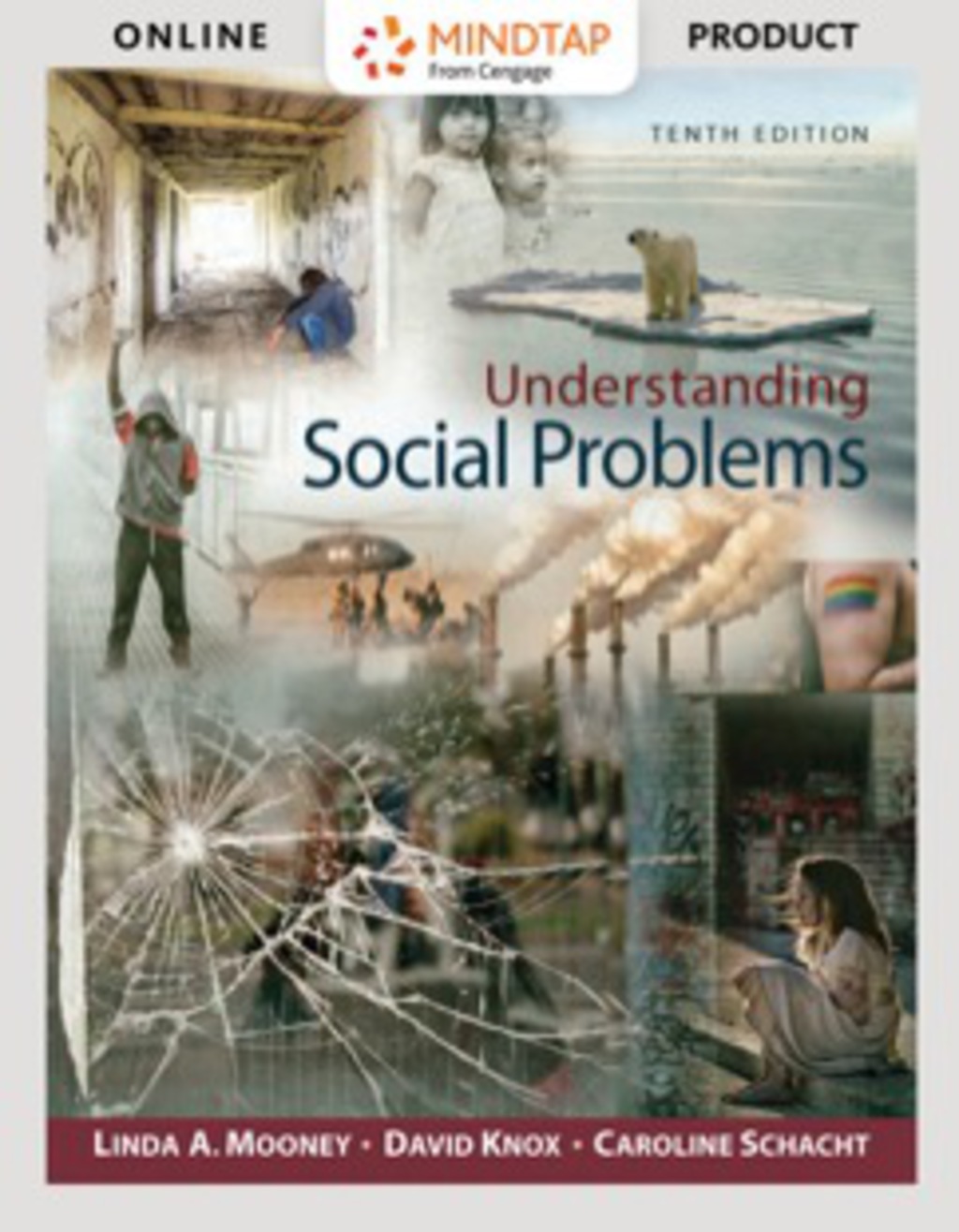MindTap Sociology, Enhanced for Mooney/Knox/Schacht's Understanding Social Problems 10th Edition â€“ PDF/EPUB Version Downloadable