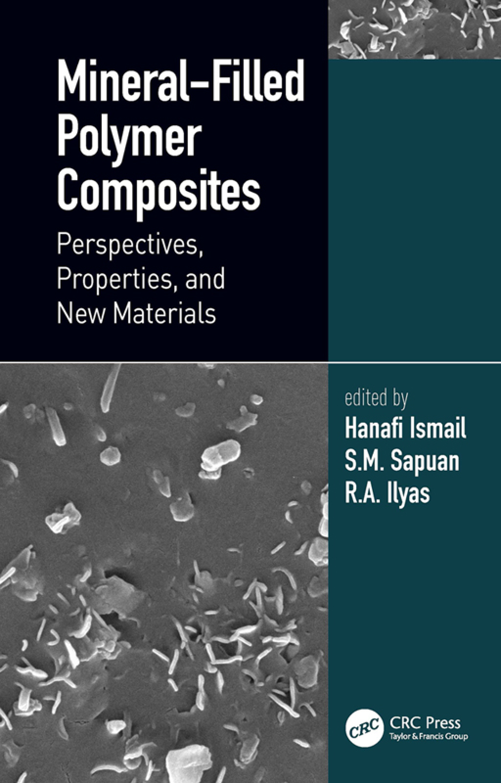 Mineral-Filled Polymer Composites Perspectives, Properties, and New Materials 1st Edition â€“ PDF/EPUB Version Downloadable