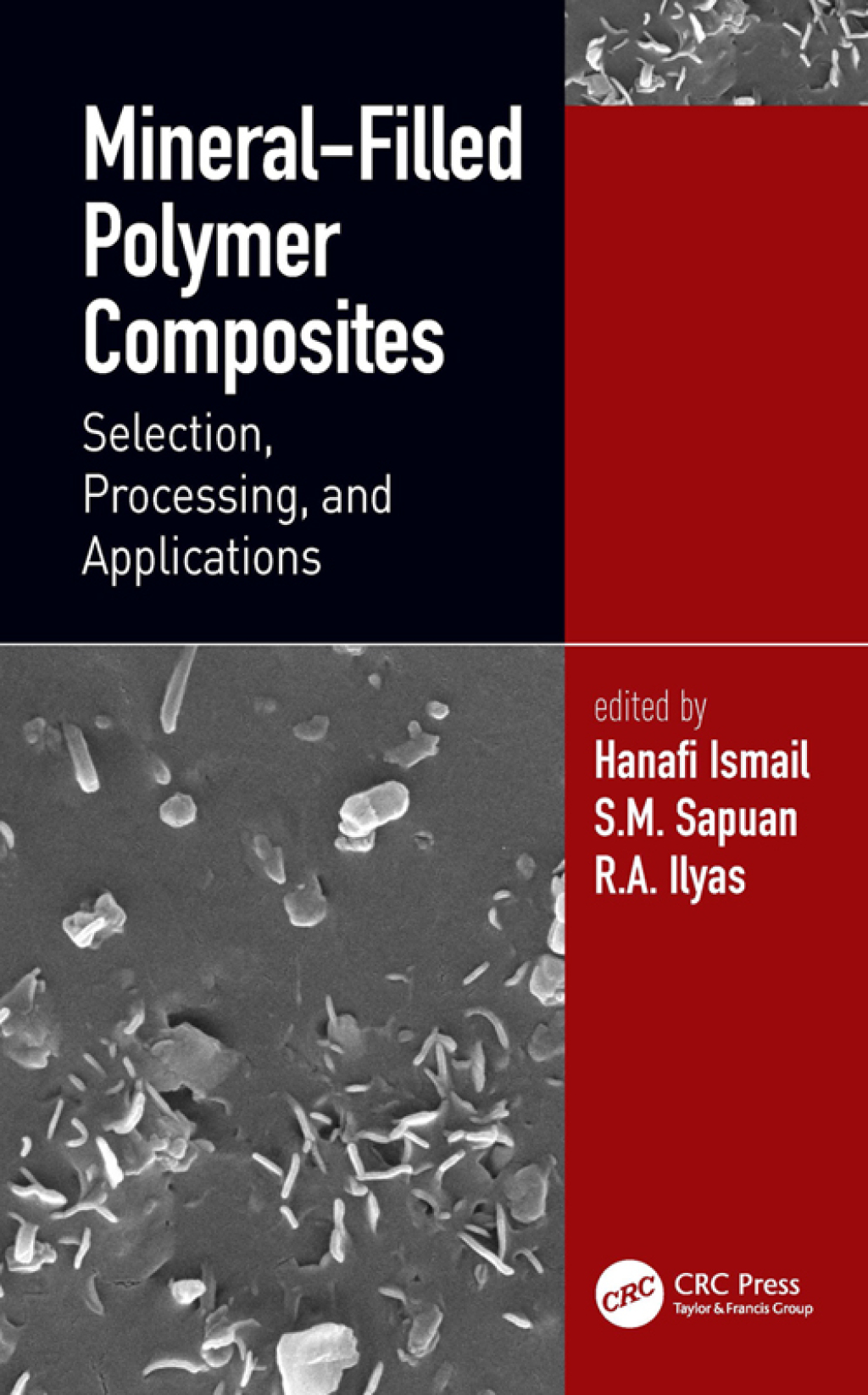 Mineral-Filled Polymer Composites Selection, Processing, and Applications 1st Edition â€“ PDF/EPUB Version Downloadable