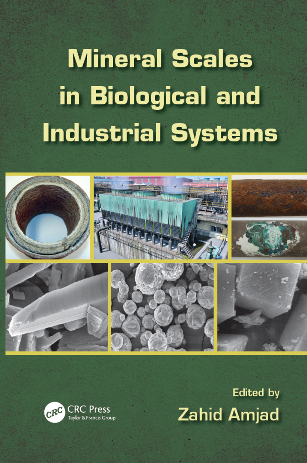 Mineral Scales in Biological and Industrial Systems 1st Edition â€“ PDF/EPUB Version Downloadable