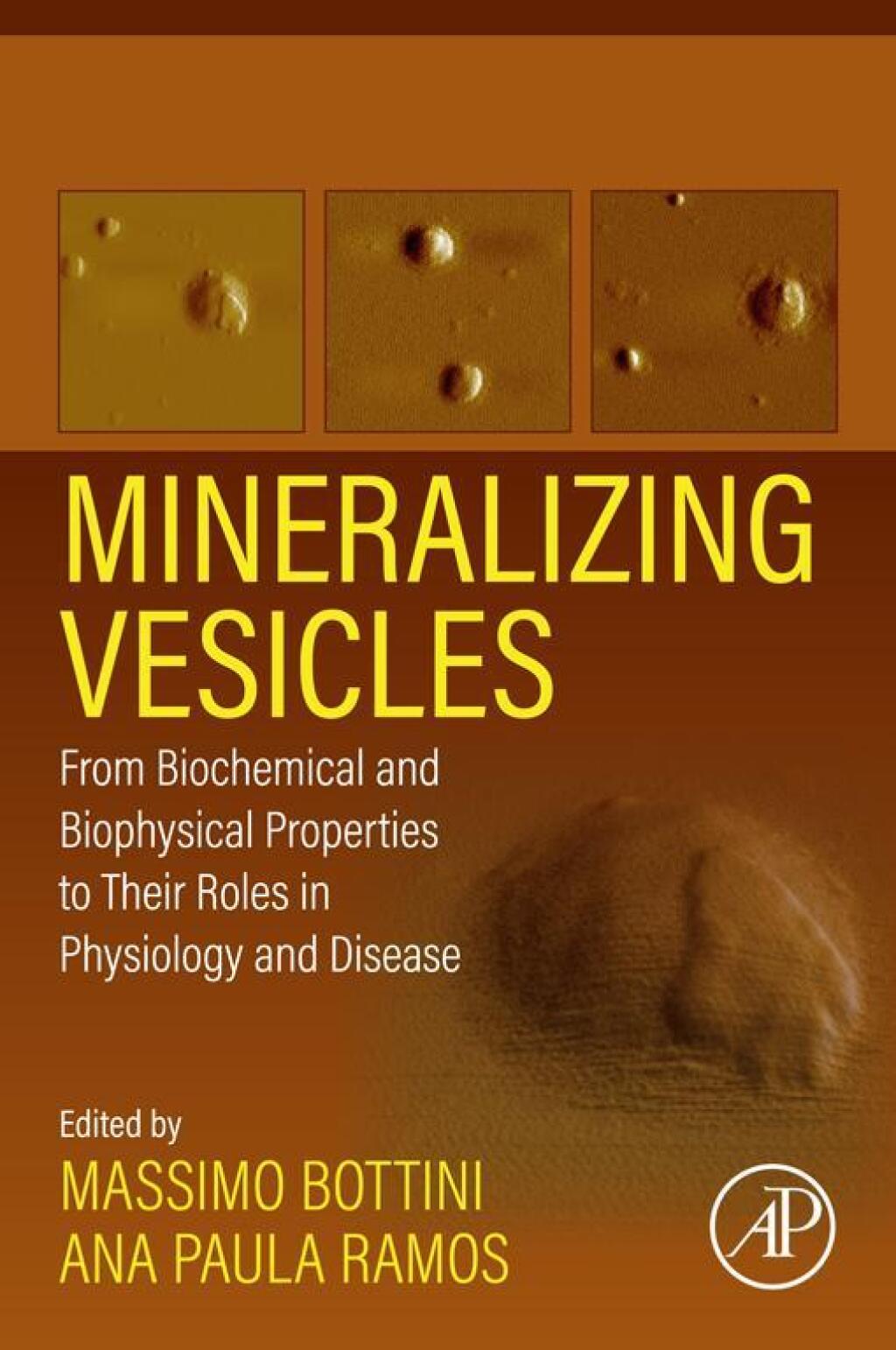 Mineralizing Vesicles From Biochemical and Biophysical Properties to Their Roles in Physiology and Disease 1st Edition â€“ PDF/EPUB Version Downloadable