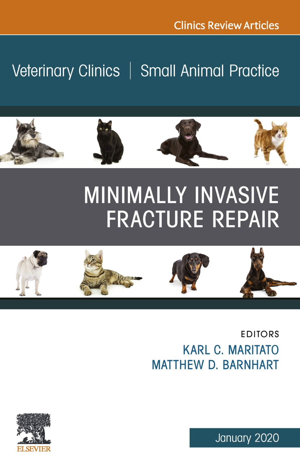 Minimally Invasive Fracture Repair, An Issue of Veterinary Clinics of North America: Small Animal Practice  â€“ PDF/EPUB Version Downloadable