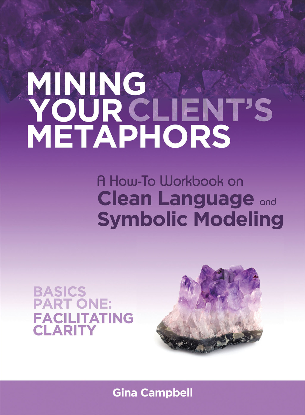 Mining Your Client's Metaphors A How-To Workbook on Clean Language and Symbolic Modeling, Basics Part I: Facilitating Clarity - (PDF/EPUB Version)