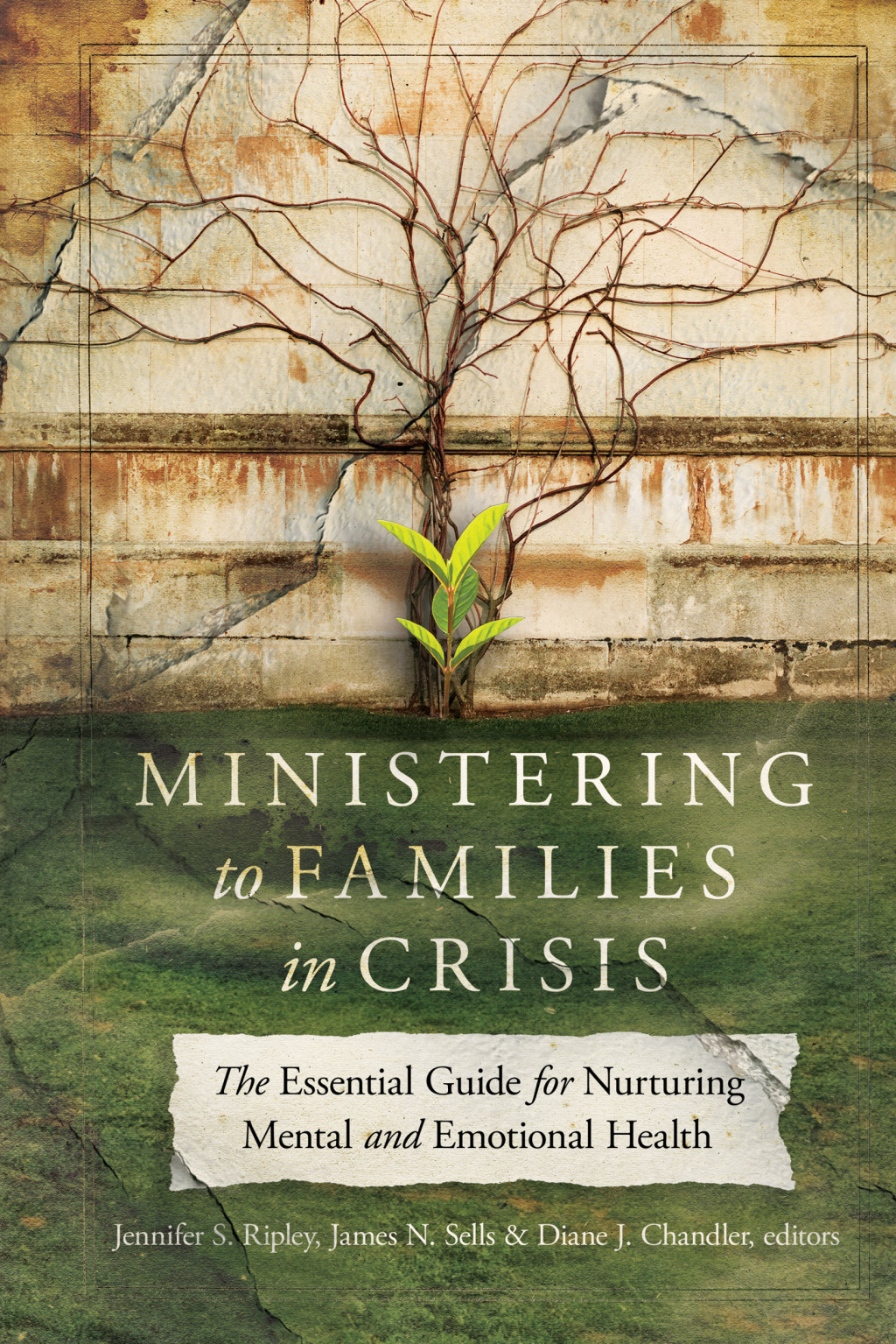 Ministering to Families in Crisis The Essential Guide for Nurturing Mental and Emotional Health  â€“ PDF/EPUB Version Downloadable