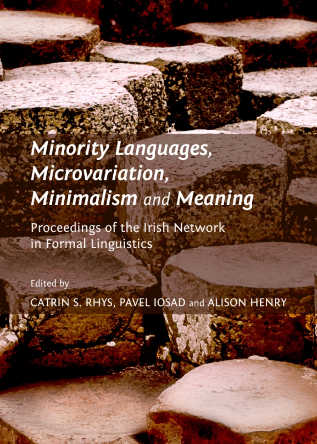 Minority Languages, Microvariation, Minimalism and Meaning Proceedings of the Irish Network in Formal Linguistics 1st Edition â€“ PDF/EPUB Version Downloadable
