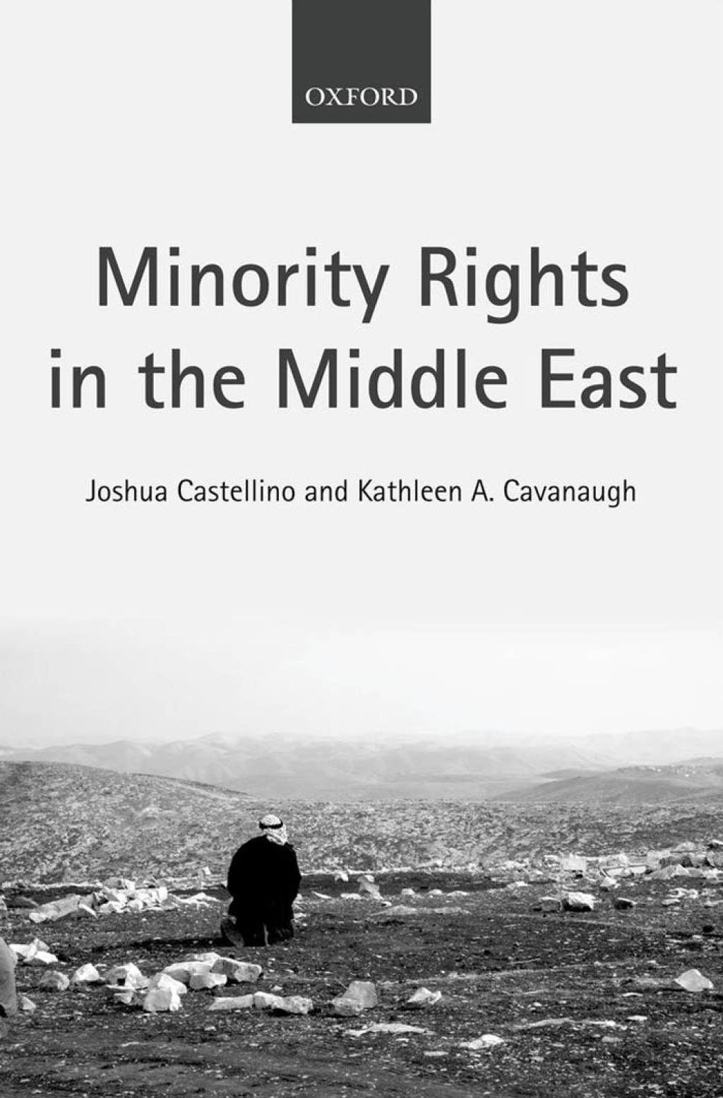 Minority Rights in the Middle East  â€“ PDF/EPUB Version Downloadable