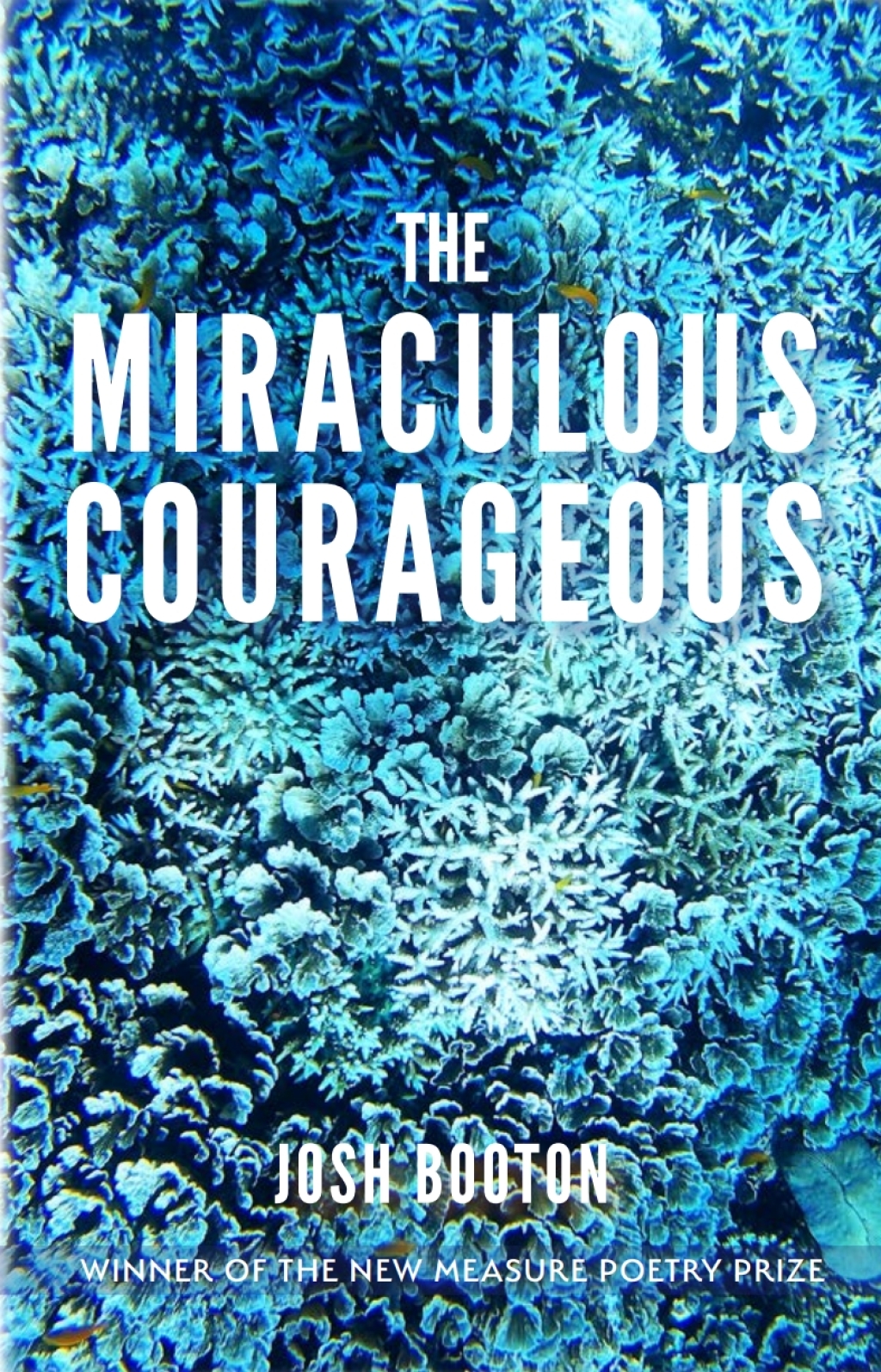 Miraculous Courageous - (PDF/EPUB Version)